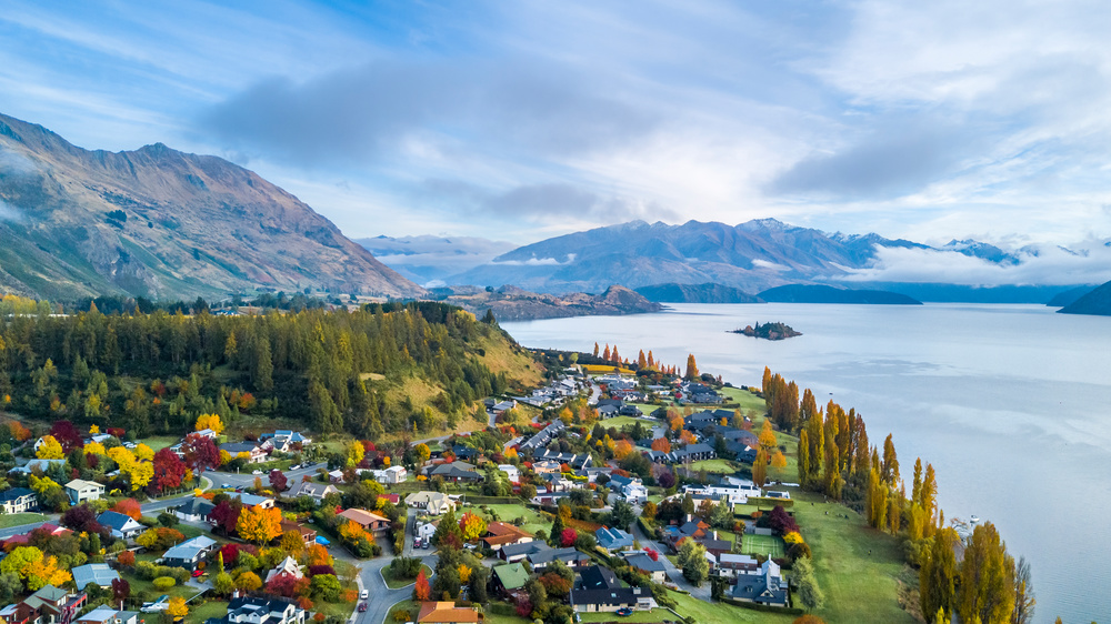 Big Fig Wanaka 参考图 1
